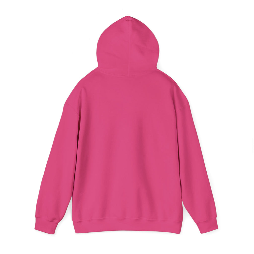 Exposing Scammers Since Instagram — Unisex Hoodie