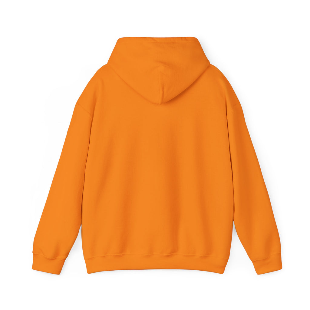Exposing Scammers Since Instagram — Unisex Hoodie